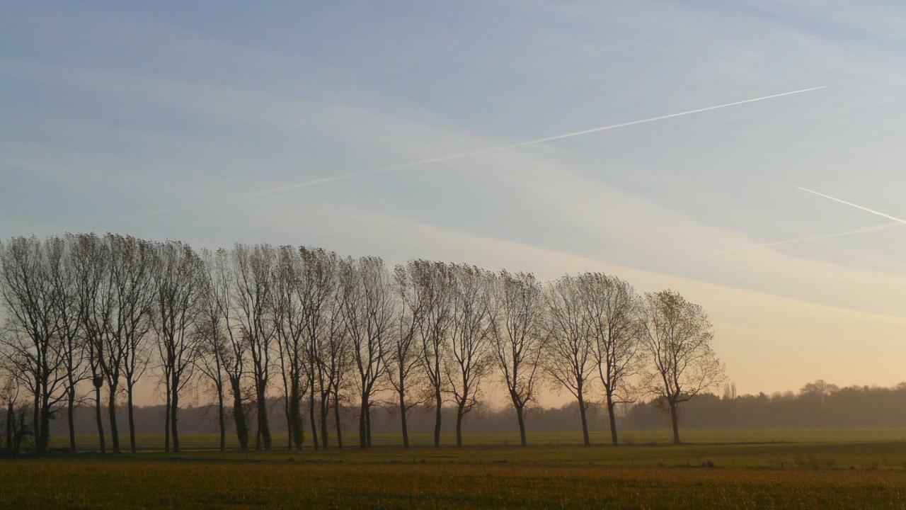 Les Houx De Mathieu Villa Engis ภายนอก รูปภาพ