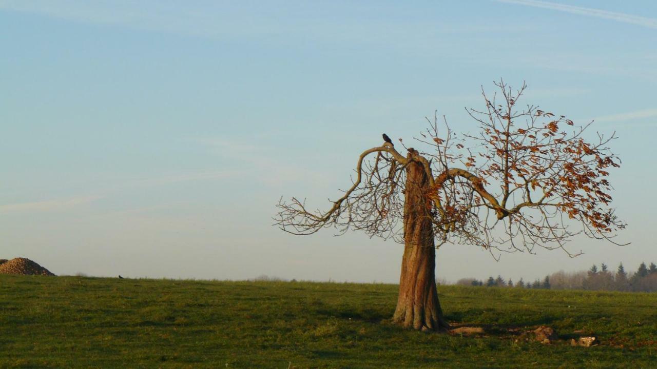 Les Houx De Mathieu Villa Engis ภายนอก รูปภาพ